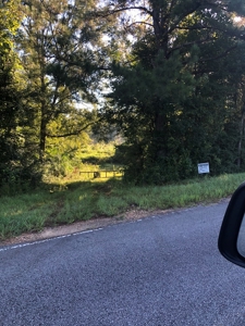Riverfront Property For Sale Bogue Chitto River Mississippi - image 10