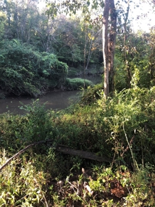 Riverfront Property For Sale Bogue Chitto River Mississippi - image 4