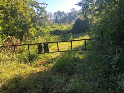 Riverfront Property For Sale Bogue Chitto River Mississippi - image 2
