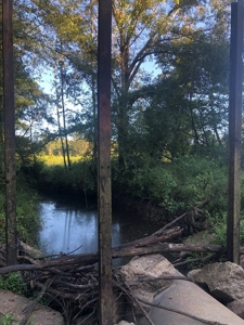 Riverfront Property For Sale Bogue Chitto River Mississippi - image 6