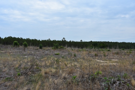 Land For Sale in Camden, SC Kershaw County - image 15