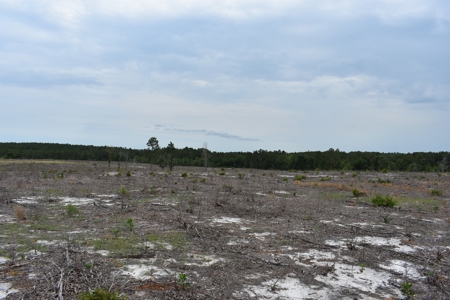 Land For Sale in Camden, SC Kershaw County - image 29