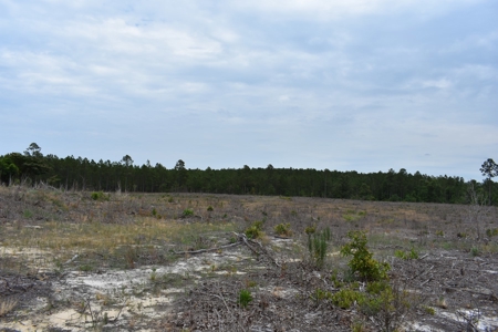 Land For Sale in Camden, SC Kershaw County - image 20
