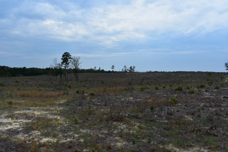 Land For Sale in Camden, SC Kershaw County - image 17
