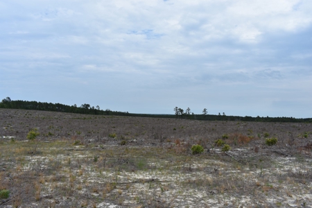 Land For Sale in Camden, SC Kershaw County - image 33