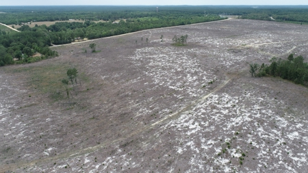 Land For Sale in Camden, SC Kershaw County - image 5