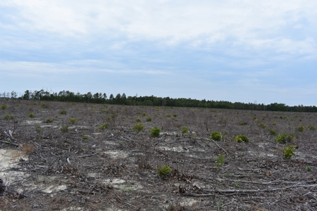 Land For Sale in Camden, SC Kershaw County - image 37