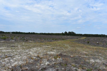Land For Sale in Camden, SC Kershaw County - image 35