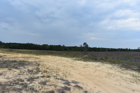 Land For Sale in Camden, SC Kershaw County - image 11