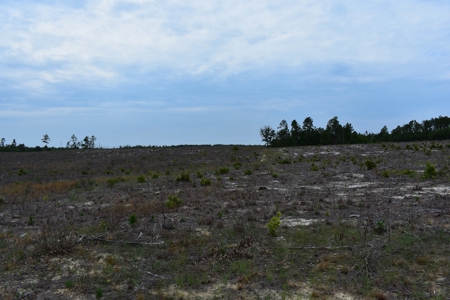 Land For Sale in Camden, SC Kershaw County - image 16