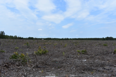 Land For Sale in Camden, SC Kershaw County - image 9