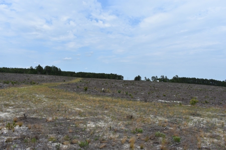 Land For Sale in Camden, SC Kershaw County - image 34