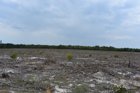 Land For Sale in Camden, SC Kershaw County - image 31