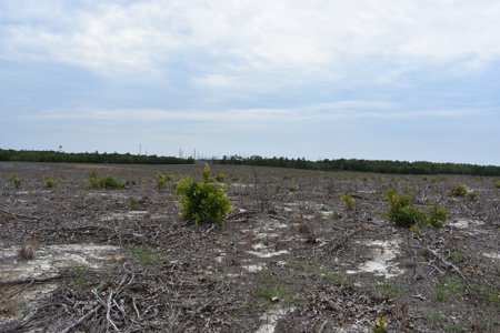 Land For Sale in Camden, SC Kershaw County - image 32