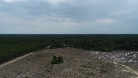 Land For Sale in Camden, SC Kershaw County - image 3