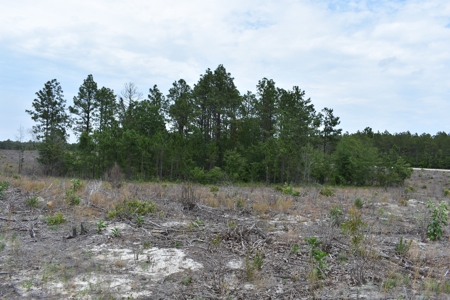 Land For Sale in Camden, SC Kershaw County - image 38