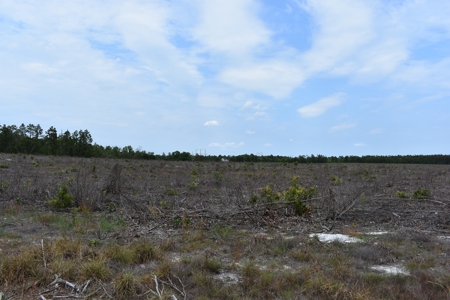 Land For Sale in Camden, SC Kershaw County - image 7