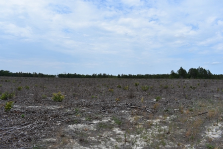 Land For Sale in Camden, SC Kershaw County - image 36