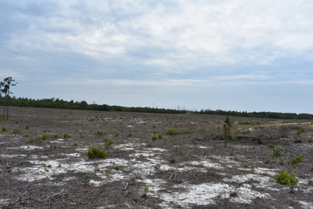 Land For Sale in Camden, SC Kershaw County - image 27