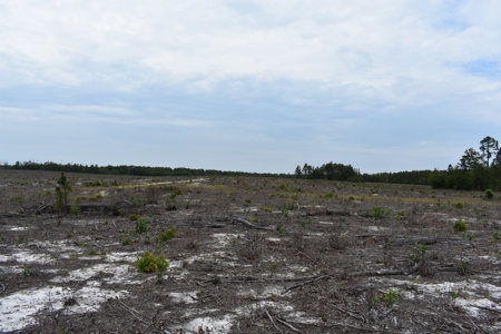 Land For Sale in Camden, SC Kershaw County - image 26