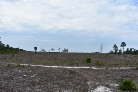 Land For Sale in Camden, SC Kershaw County - image 23