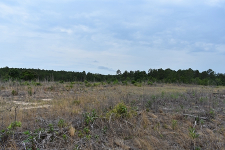 Land For Sale in Camden, SC Kershaw County - image 14