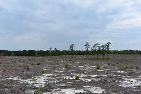 Land For Sale in Camden, SC Kershaw County - image 28