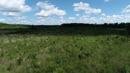 Land For Sale in Camden, SC Kershaw County - image 36