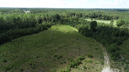 Land For Sale in Camden, SC Kershaw County - image 33