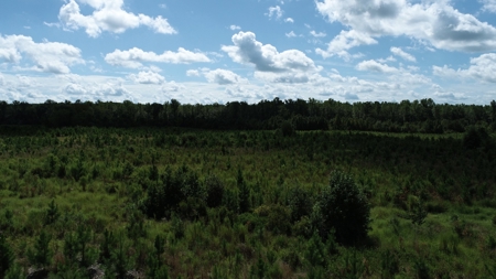 Land For Sale in Camden, SC Kershaw County - image 42