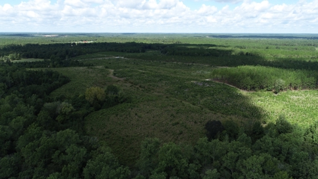 Land For Sale in Camden, SC Kershaw County - image 22