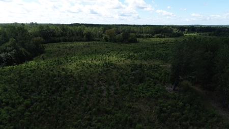 Land For Sale in Camden, SC Kershaw County - image 17