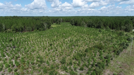 Land For Sale in Camden, SC Kershaw County - image 4