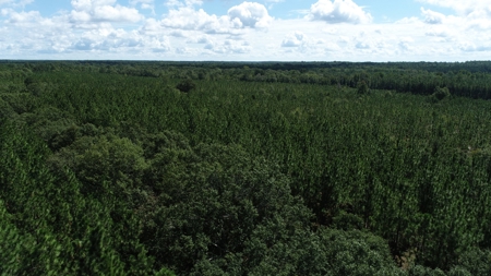 Land For Sale in Camden, SC Kershaw County - image 9