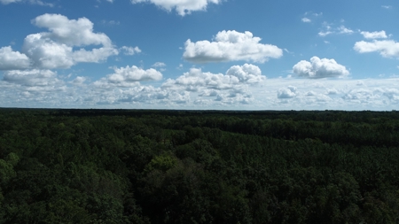 Land For Sale in Camden, SC Kershaw County - image 11