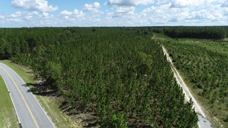Land For Sale in Camden, SC Kershaw County - image 3