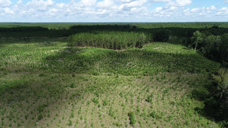 Land For Sale in Camden, SC Kershaw County - image 20