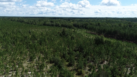 Land For Sale in Camden, SC Kershaw County - image 10