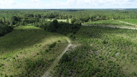 Land For Sale in Camden, SC Kershaw County - image 32