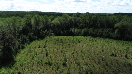 Land For Sale in Camden, SC Kershaw County - image 19