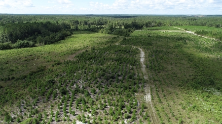 Land For Sale in Camden, SC Kershaw County - image 31