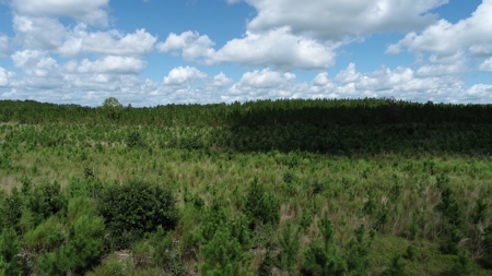 Land For Sale in Camden, SC Kershaw County - image 38
