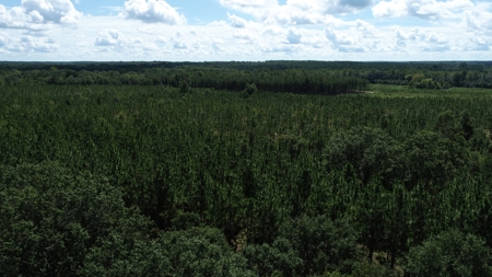 Land For Sale in Camden, SC Kershaw County - image 8