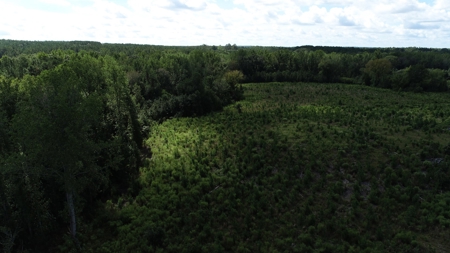 Land For Sale in Camden, SC Kershaw County - image 16
