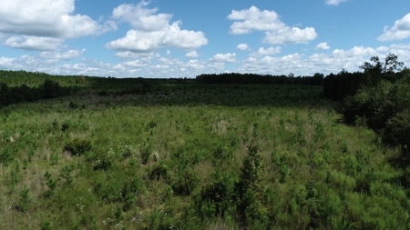 Land For Sale in Camden, SC Kershaw County - image 35