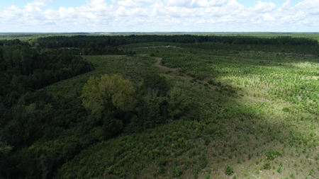 Land For Sale in Camden, SC Kershaw County - image 21