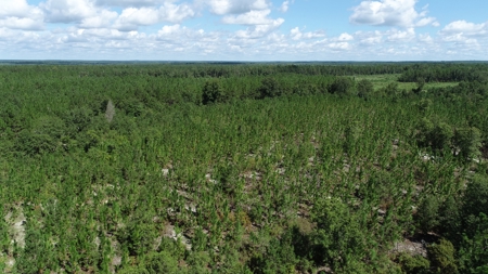Land For Sale in Camden, SC Kershaw County - image 7