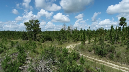Land For Sale in Camden, SC Kershaw County - image 13