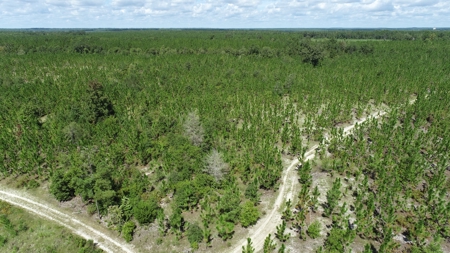 Land For Sale in Camden, SC Kershaw County - image 12