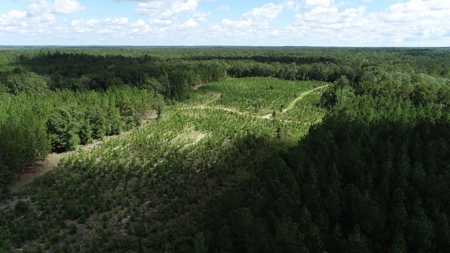 Land For Sale in Camden, SC Kershaw County - image 25